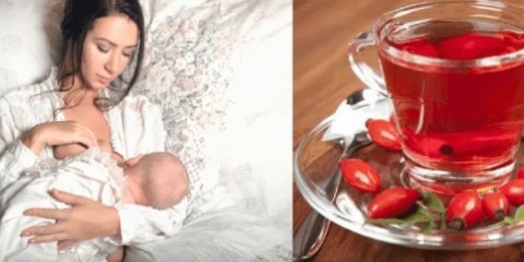 Da li je moguće piti šipak kod novorođenčeta